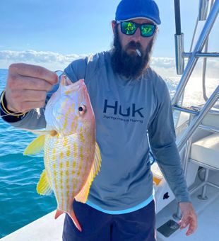 Lane Snapper Trophy in Port Canaveral Fishing!
