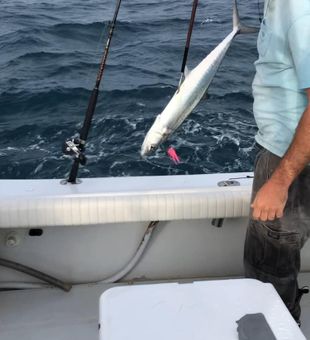 Thrilling Port Canaveral Fishing Adventures Await!