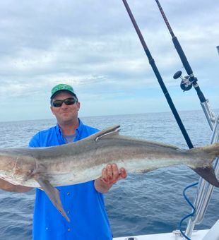 Cobia Trophy in Deep Sea Fishing Port Canaveral