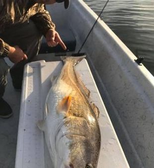 Unforgettable Redfish fishing trips in Biloxi.