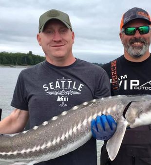 Oregon's pristine lakes hide sturgeon treasures.