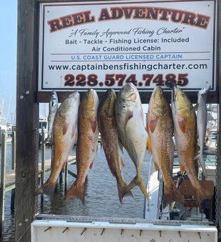 Cast Away Worries with Gulf Coast Fishing Delights