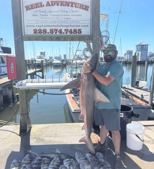 Sandbar shark success in Gulfport MS waters!