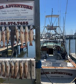Big Catches on the Gulf Coast