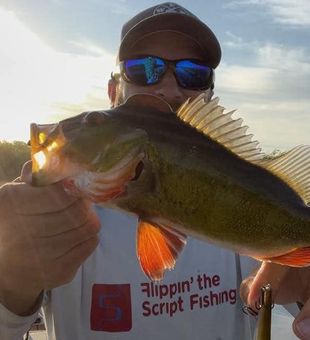 Reel In Freshwater Florida Fish