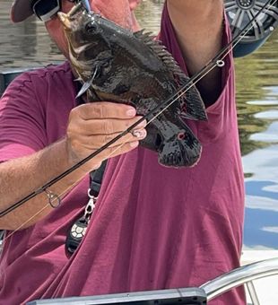 Catch Fish in Calm Florida Waters