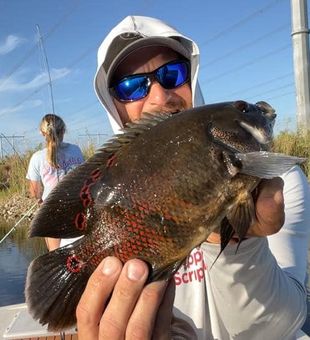 Fort Lauderdale Fishing Trips - Tripletail
