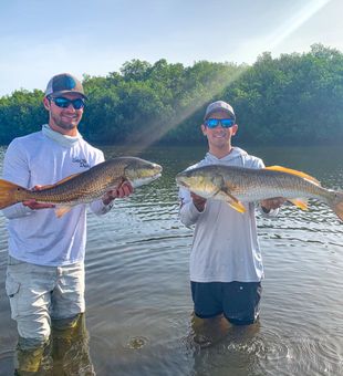 Book Your New Port Richey Excursion, Redfish