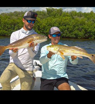 Discover New Port Richey Waters, Red Drum
