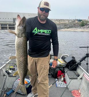 Big fish, small-town charm.