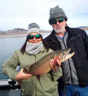 Colorful Lahontan cutthroat, Pyramid Lake.