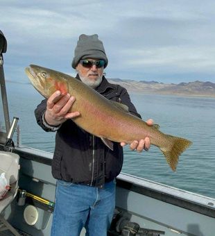 Beefy Lahontan cutthroat, Pyramid Lake.