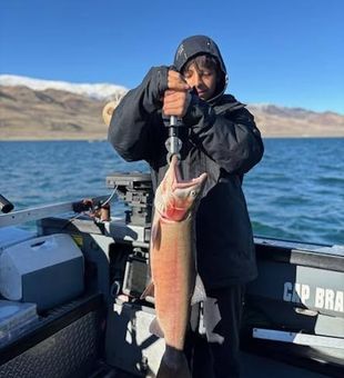 Big fish, beautiful scenery, and Cutthroat Trout on Pyramid Lake, CA.