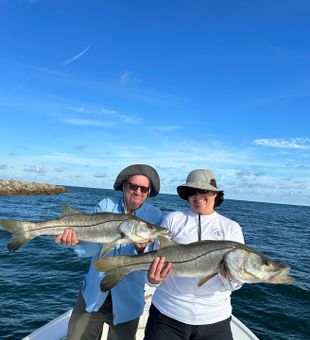 What a Snook 