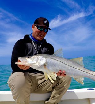 Tarpon Thrills In Clearwaters