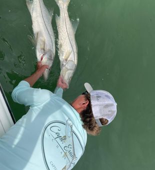 Hook a Tarpon