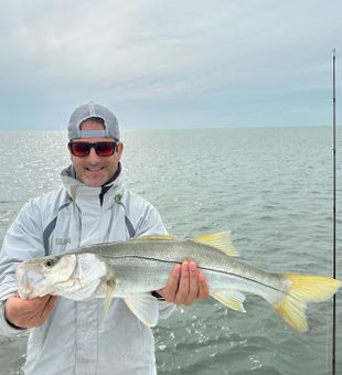Miami Fishing: Where Dreams Bite