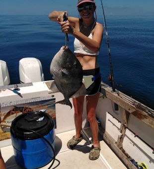Checkout this Triggerfish Caught in Florida