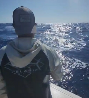 Reel Bless Charters: Fishing at its finest!