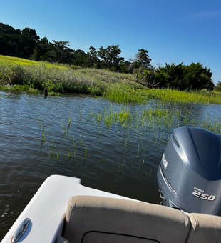 Perfect conditions for deep sea jigging and trolling in Savannah waters.