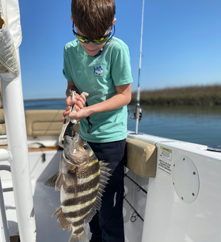 Reeling in a sheepshead off Savannah's coast - the perfect deep sea adventure!