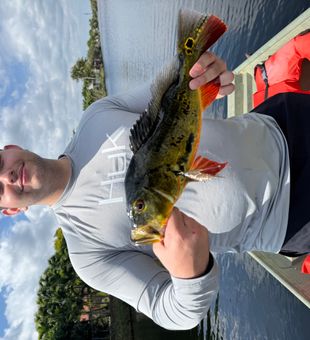 Clean Catch! - Miami, FL.