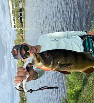Big Bass for Today - Miami, FL.