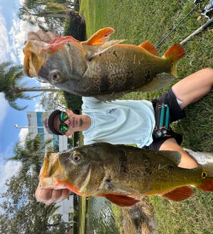 Double Catch - Miami, FL.