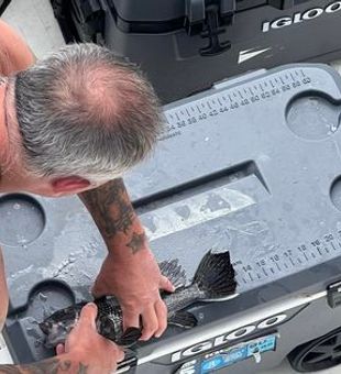 Catch Cleaning, Charter Boats in Belmar
