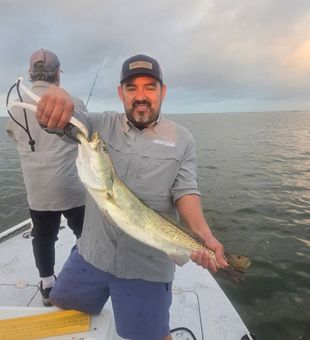Gulf breeze and bent rods—perfect day fishing.