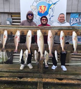 Solid redfish haul, inshore fishing success