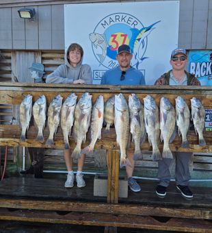 Nice redfish and sheepshead catch, inshore fishing day