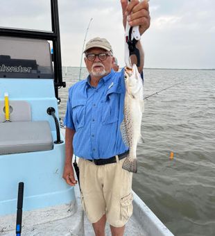 Another Trout for today - Corpus Christi, TX.