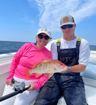 Clean Red Snapper - Panama Beach City, FL.