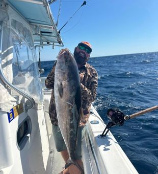 Huge Amber Jack Reeled In - Panama Beach City, FL.