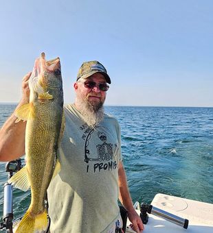 Bold Lake Erie Walleye Catch