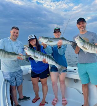 Groups Enjoying their Stripers Fish in MA