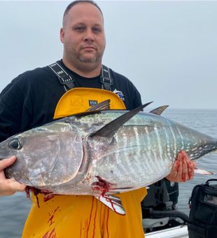 Tuna Fishing in Cape Cod, MA