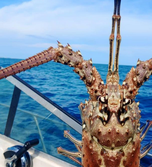 Cast away stress in Andros' fishing paradise