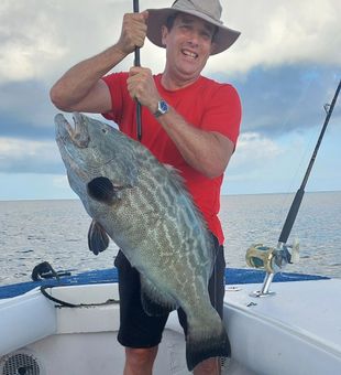 Monster black grouper from Islamorada waters!