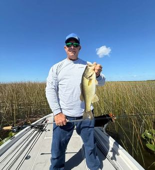 Discover the freshwater fishing opportunities waiting in sebring, florida, and make your next day on the water one to remember.