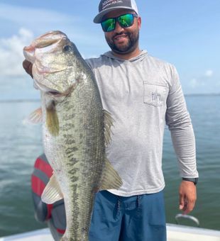 Lake June bass on the line
