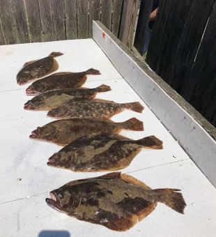 Flounder Fishing in Neptune NJ