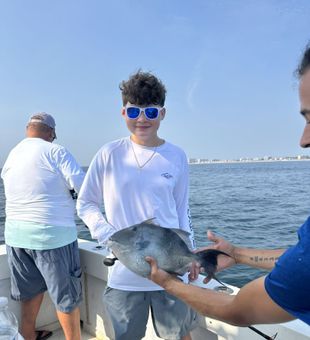 Impressive Triggerfish catch on the water!