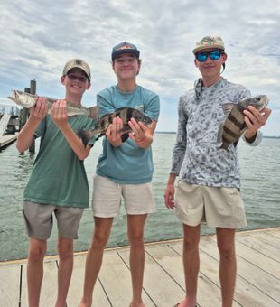 Black drum success at Hilton Head Island!