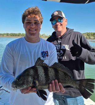 Nice black drum from Hilton Head Island waters!