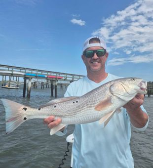 Beautiful Hilton Head redfish making the day complete!