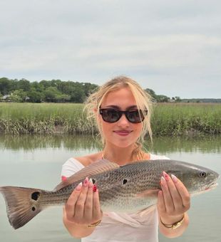 Beautiful Hilton Head redfish ready for the cooler!
