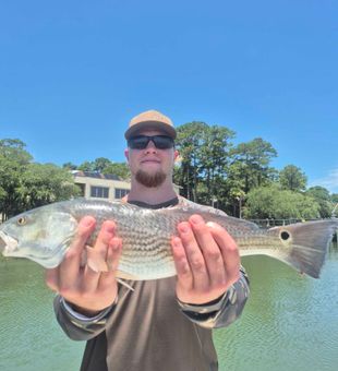 Beautiful Hilton Head Island redfish making the day!