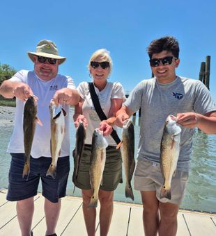 Five beautiful Hilton Head redfish making memories!
